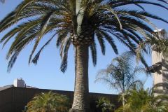 DSCN1168