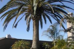 DSCN1168
