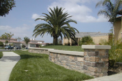DSCN2466
